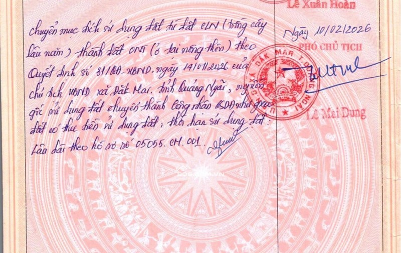 Vị trí 